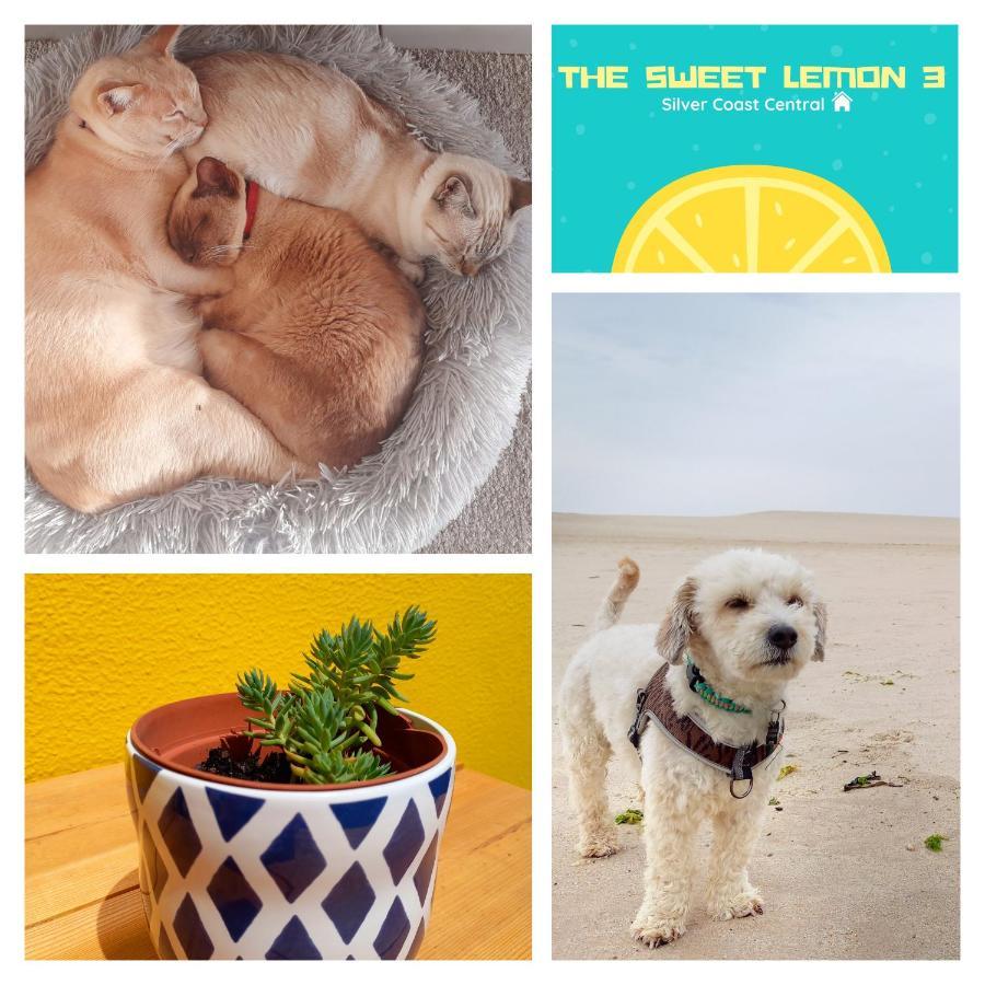 The Sweet Lemon 3 Daire Bombarral Dış mekan fotoğraf